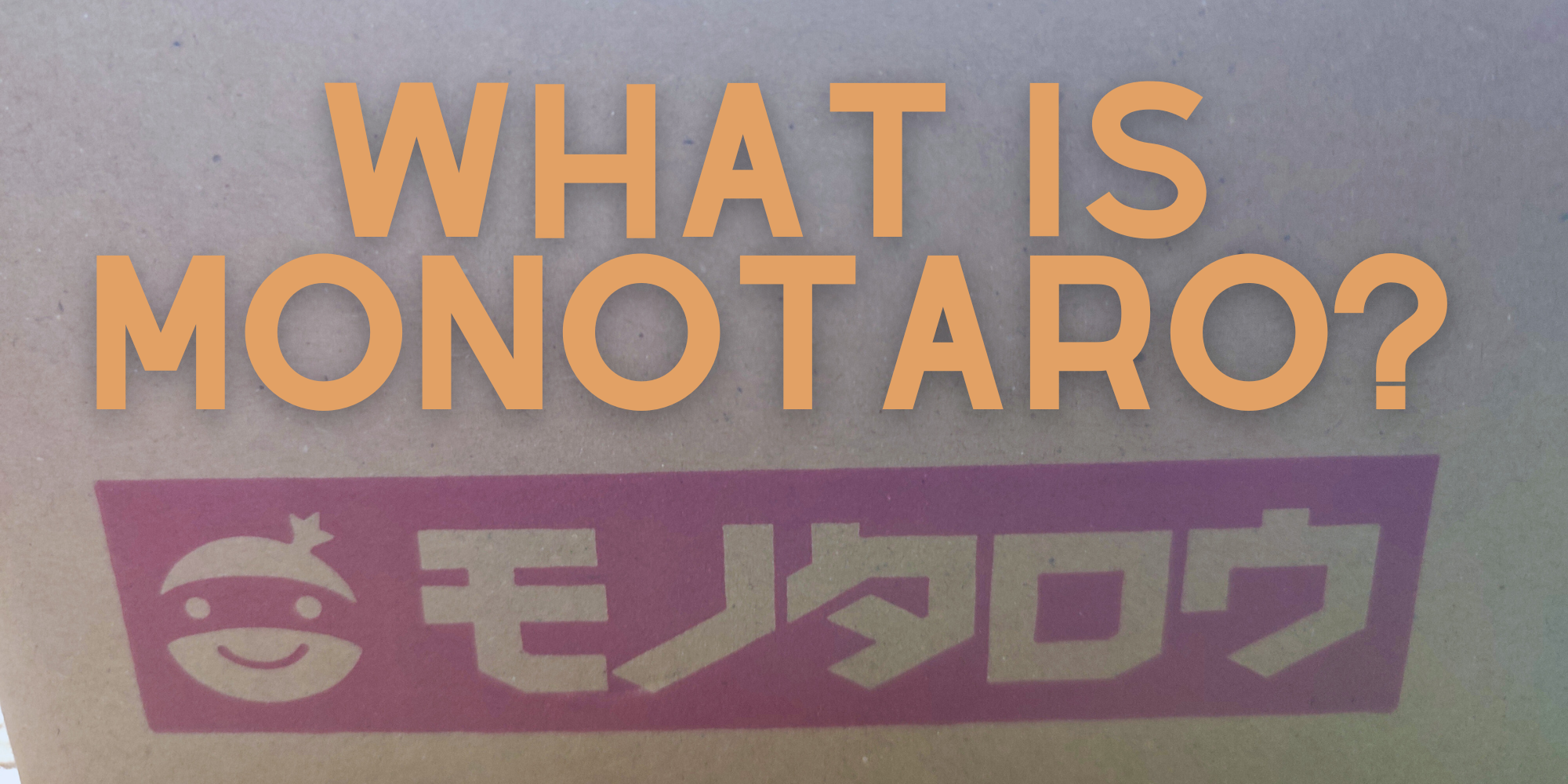 What is MonotaRO?