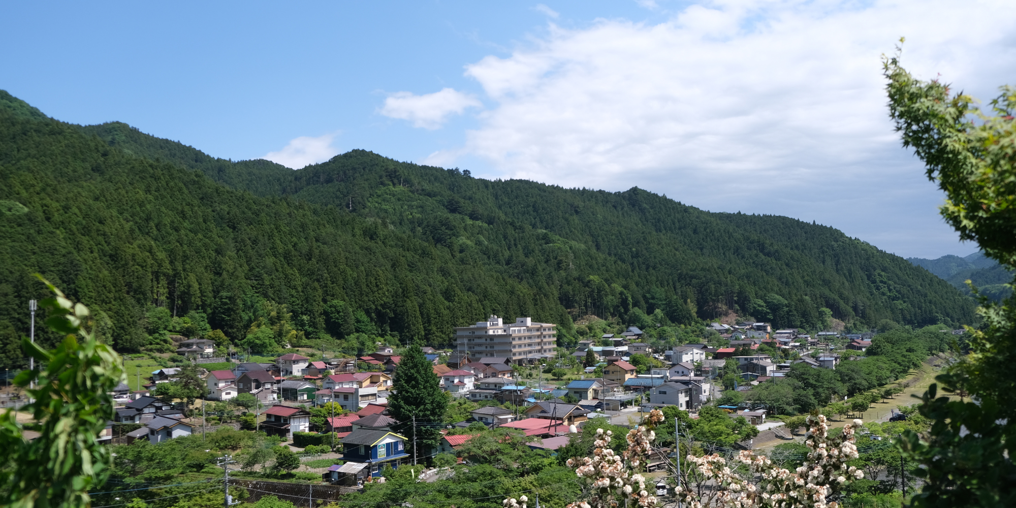 Naguri District in Hannō City is Famous for Timber (Nishikawa Wood)